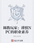 调教玩家：谨慎NPC的职业素养